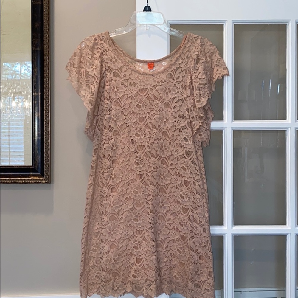 Farm Rio Dusty Pink Lace Dress w/ Slip